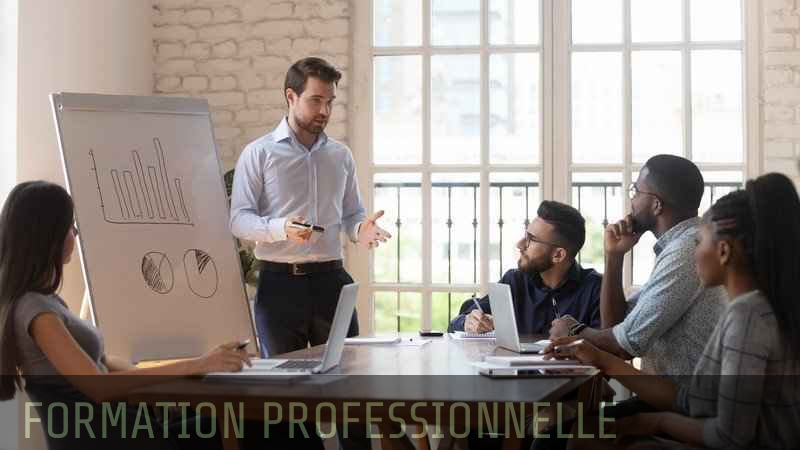 Formation professionnelle